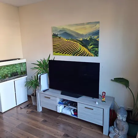 Appartement Casa Obelisk *