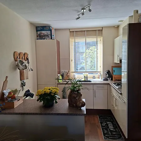 Casa Obelisk Appartement